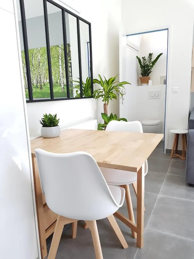 Apartment Super Studio Cosy - A 10 Min De Cdg Aeroport - A 30 Min De Paris - A 10 Min Du Salon D'Expo Villepinte Le Thillay