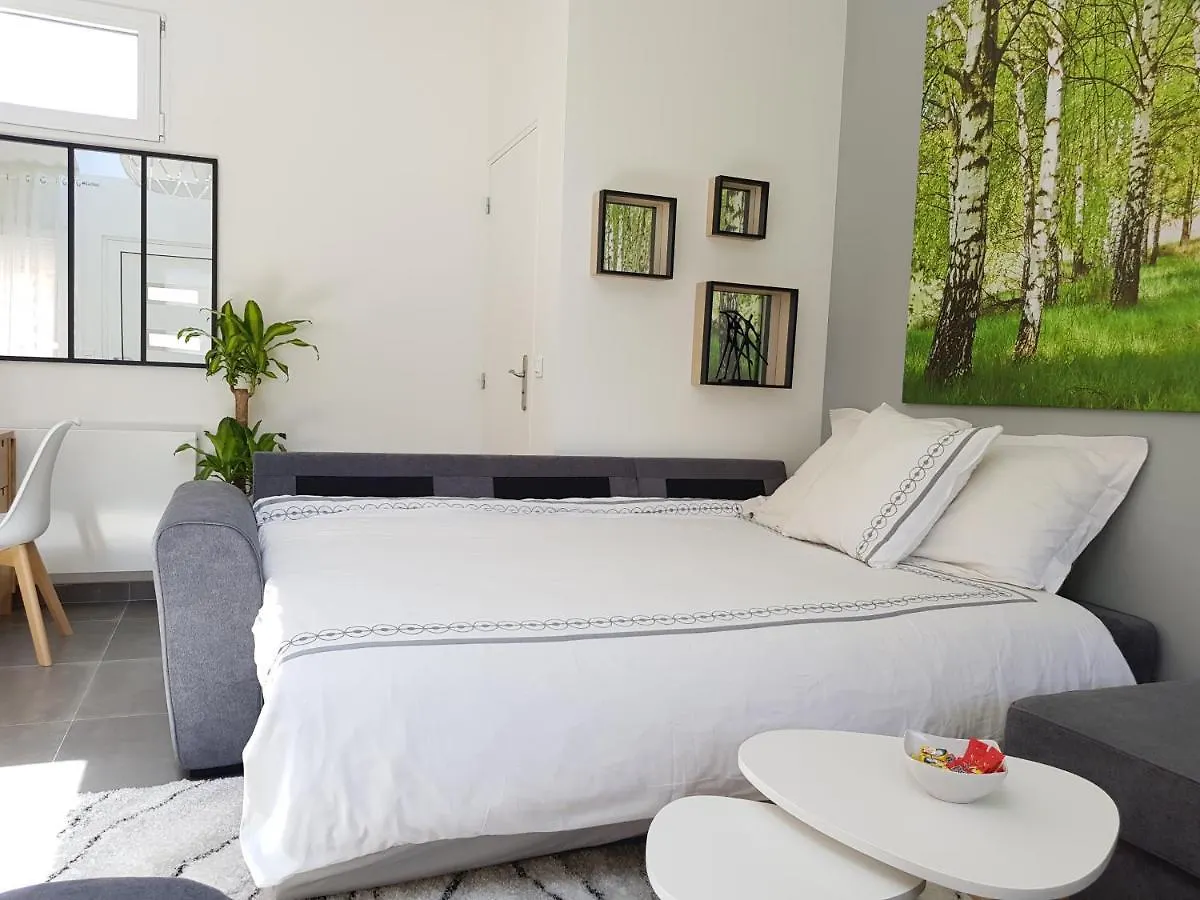 Super Studio Cosy - A 10 Min De Cdg Aeroport - A 30 Min De Paris - A 10 Min Du Salon D'Expo Villepinte Le Thillay 0*,